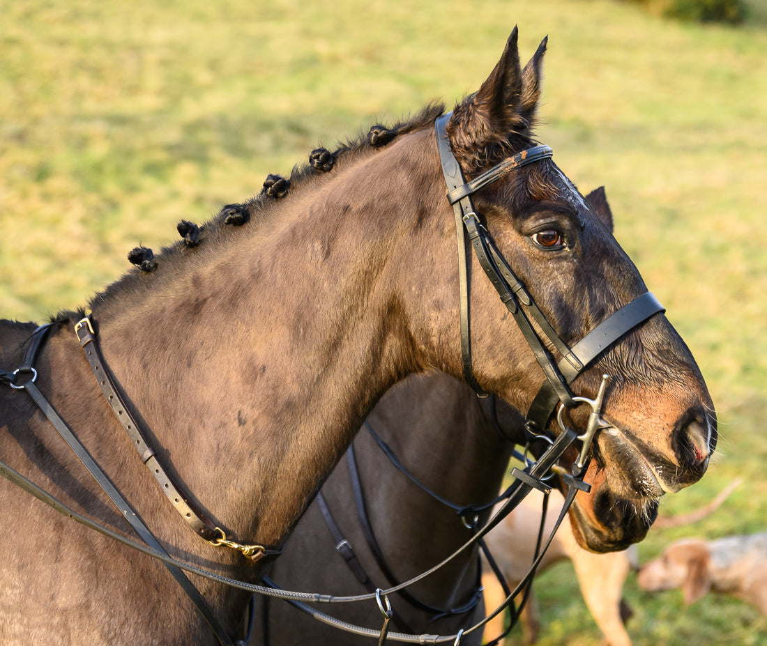Emergency Neck Strap