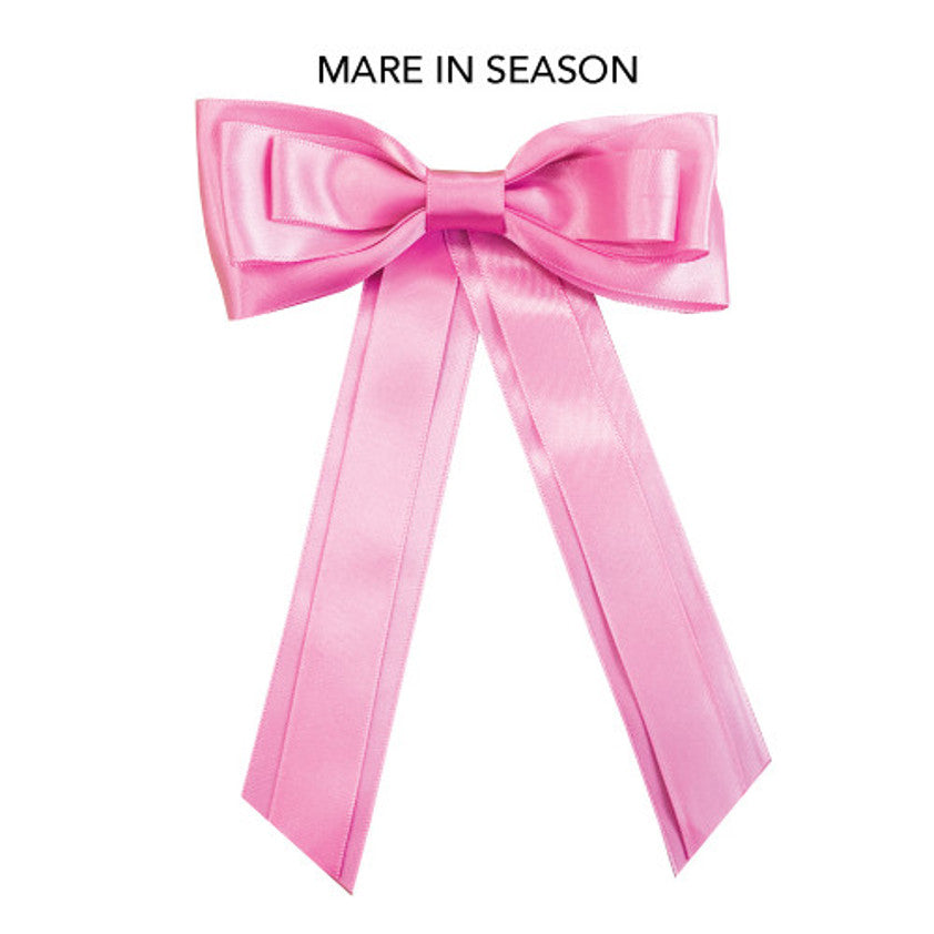 Horse warning Tail Ribbon