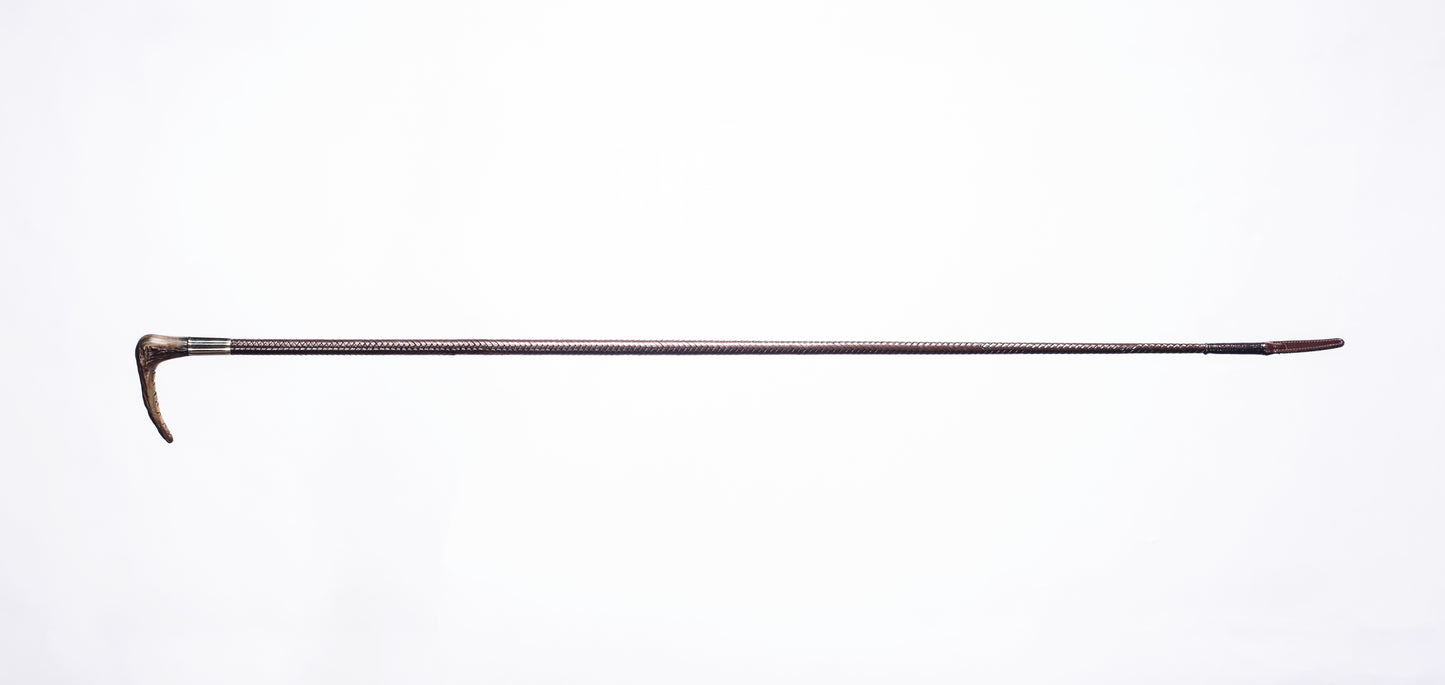 Side Saddle Cane