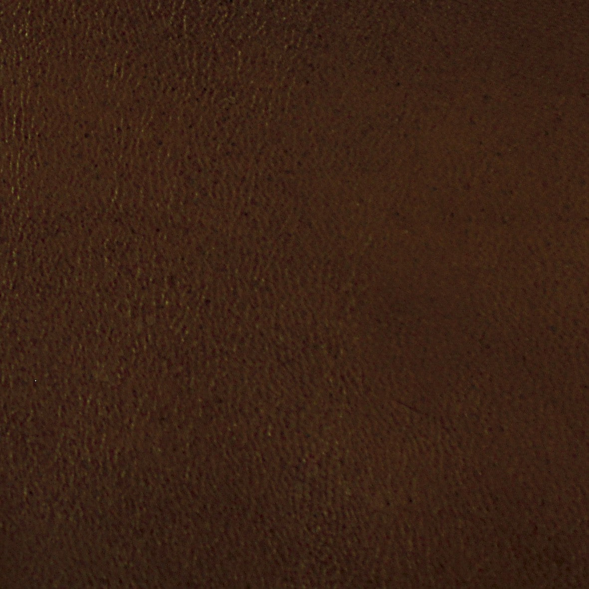 Gloves - Leather Showing