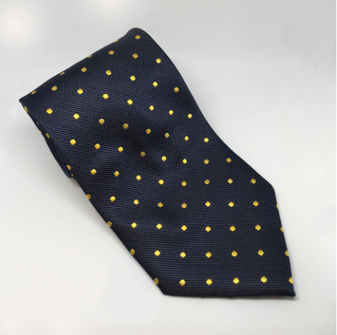 Polka Dot Show Tie - Navy/Gold