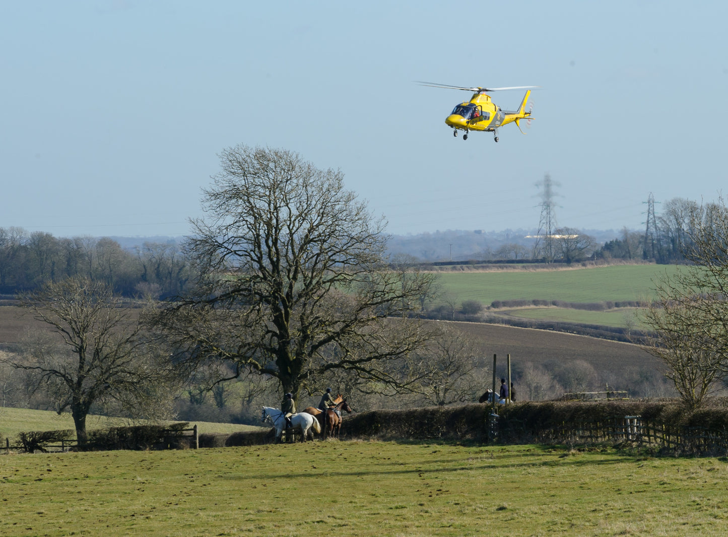 TOHH Charity Hoodie #1 Black & Yellow