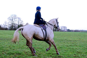 Robyn Catterall Hunting with Iveagh Foxhounds