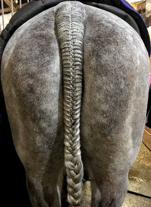 How to plaiting a tail for hunting