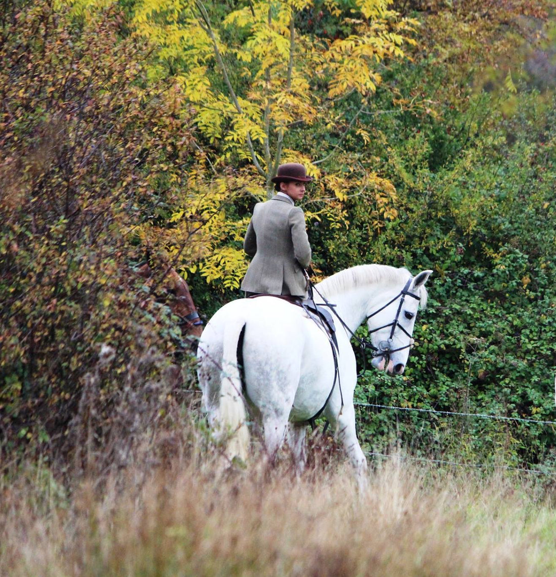 The painfully early mornings are worth it when you're following hounds at the most magical time of the day.