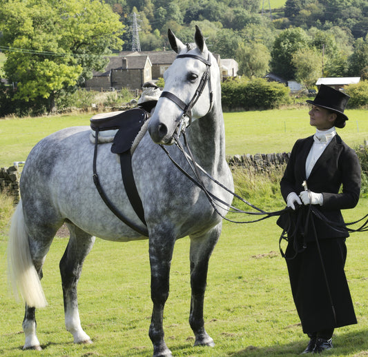 Bicester Point to Point Ladies Side Saddle Dash