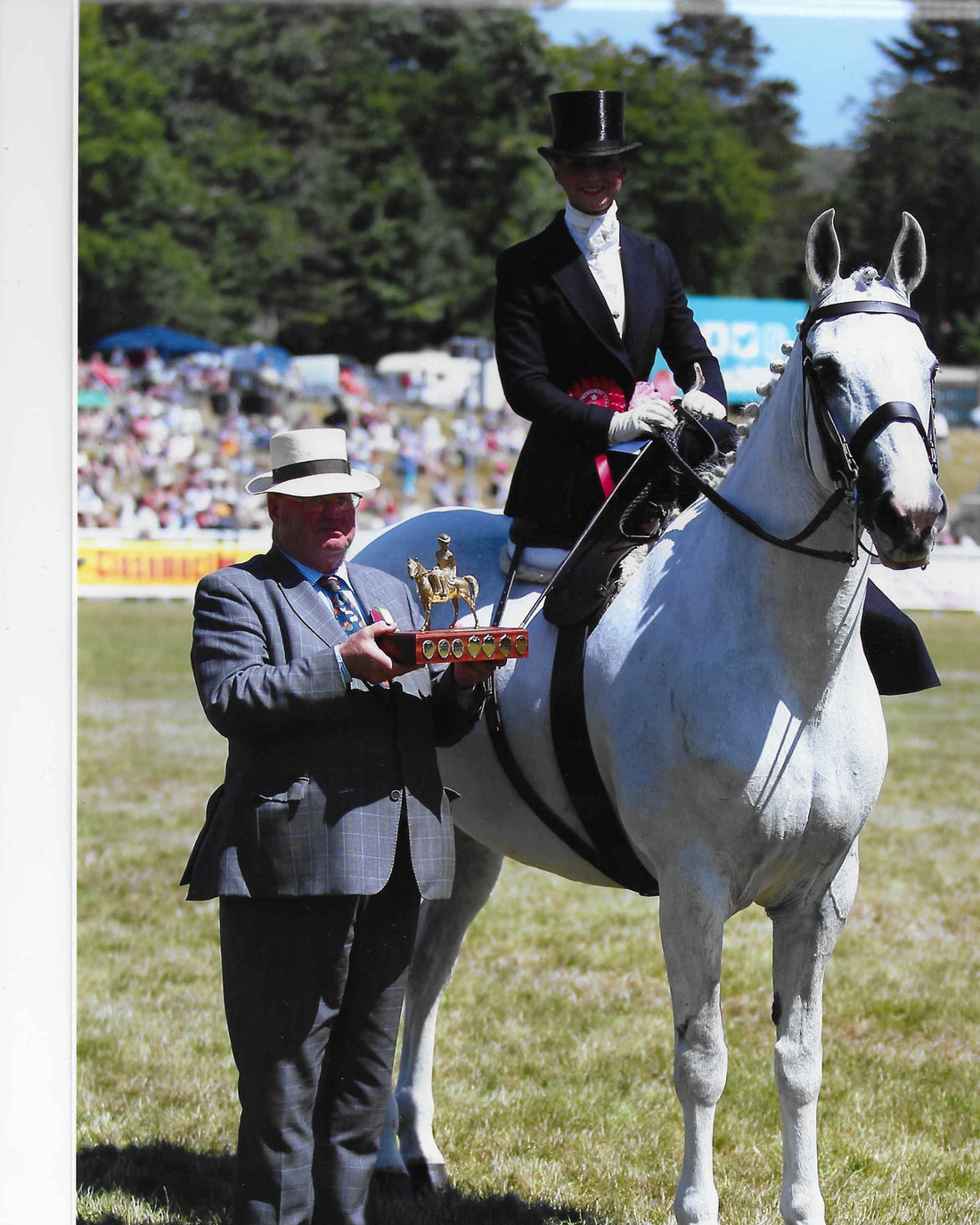 Prepare for Show Season with TOHH