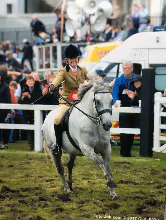 The stuff that dreams are made of