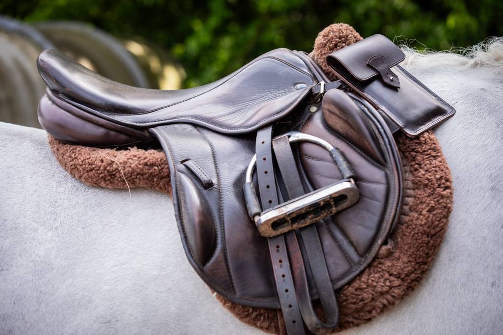 Mounted Phone Case