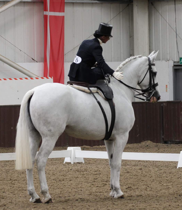 SIDE SADDLE NATIONALS