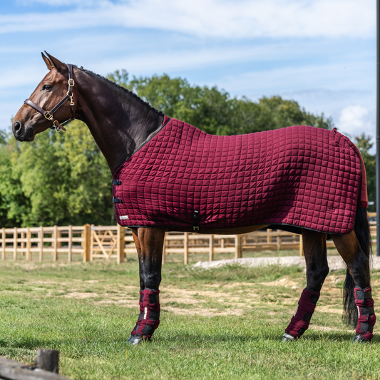 Thermatex Original Cooler Rug