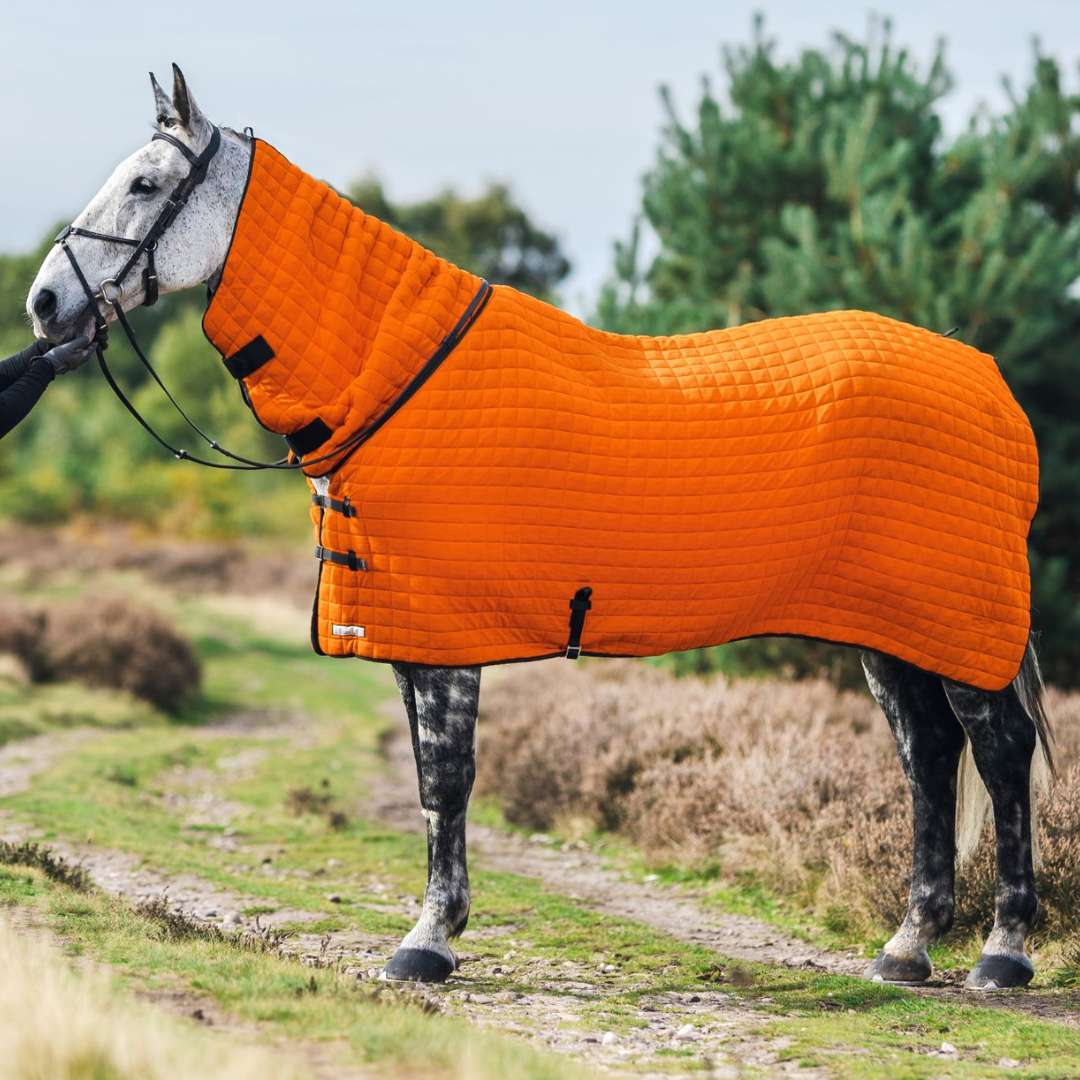 Thermatex Onesie Horse Rug