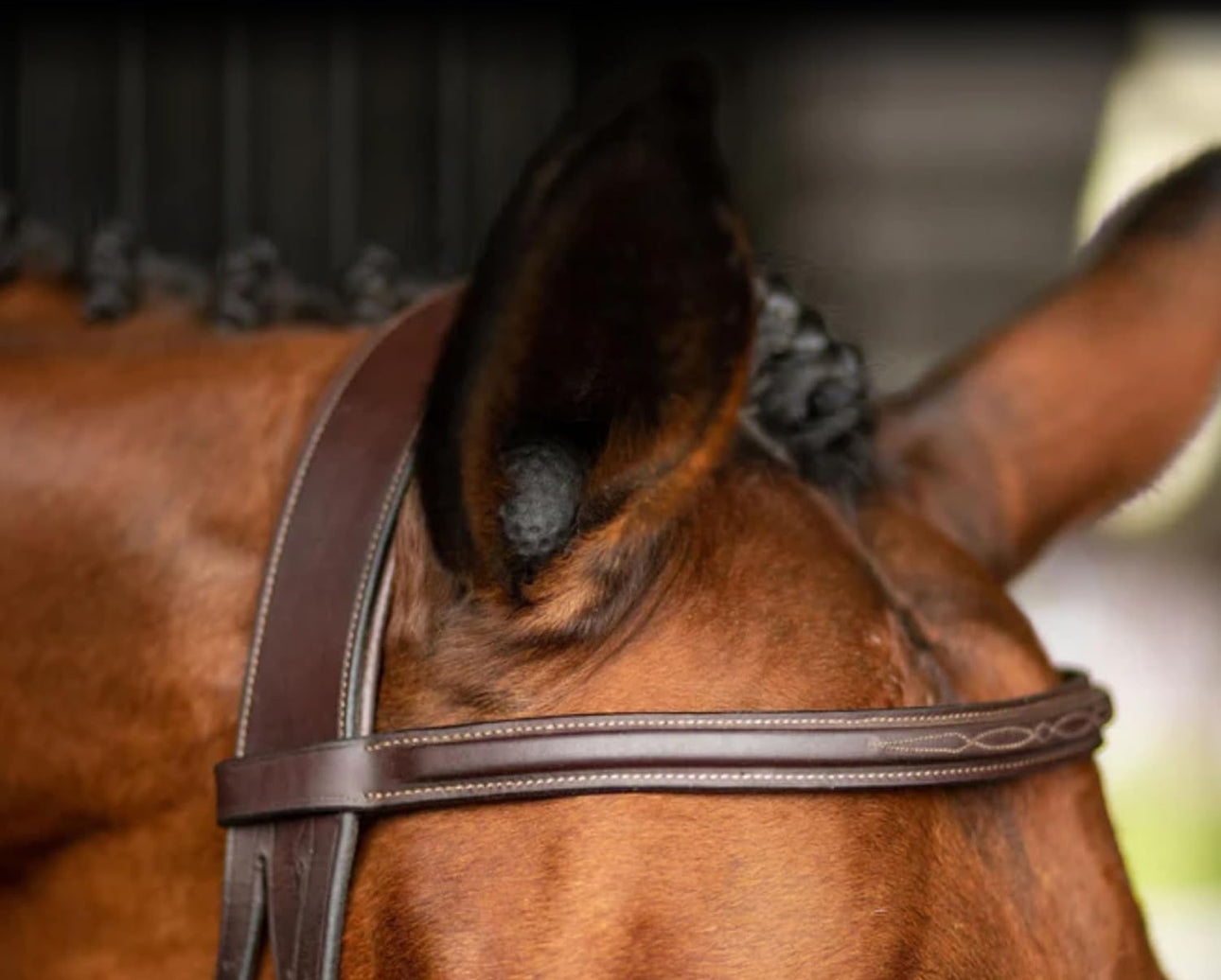 Performance ear plugs