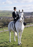 TOHH Side Saddle Habit