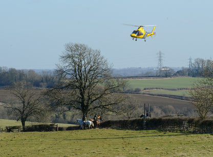 TOHH Charity Hoodie #1 Black & Yellow