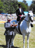 TOHH Side Saddle Habit