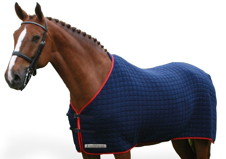 Thermatex Original Cooler Rug